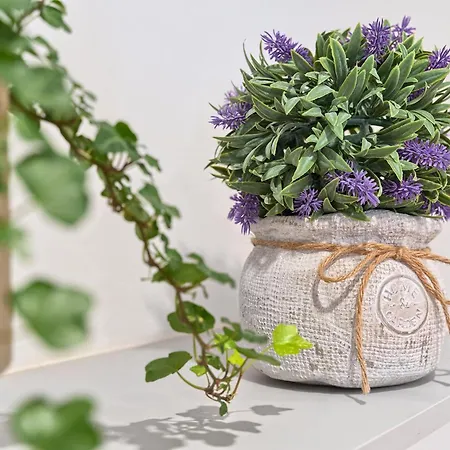 Penzion Magnolia Luxury